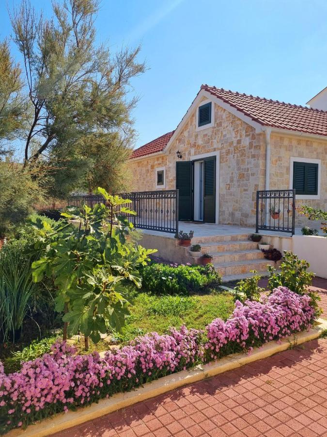 House Calendula